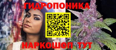 шишки Гусев