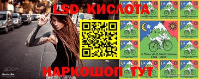 шишки Гусев