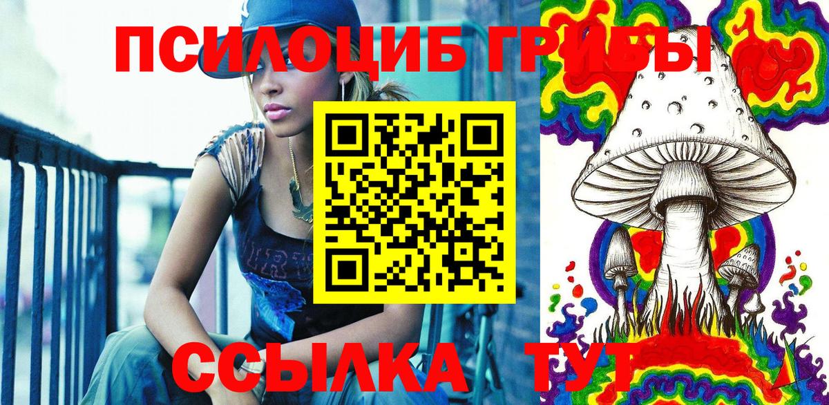 Мценск  Галлюциногенные грибы Psilocybe  купить закладку  Вход с VPN  Псилоцибиновые грибы Cubensis 
